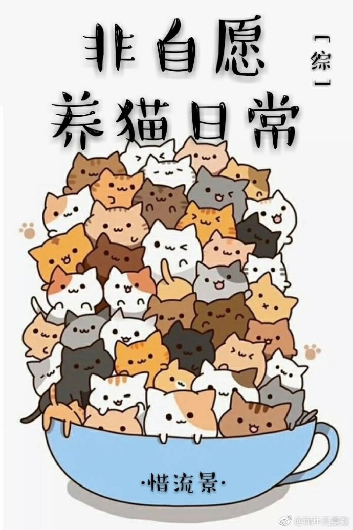 [综]非自愿养猫日常