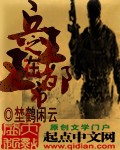 兵王之王在都市1